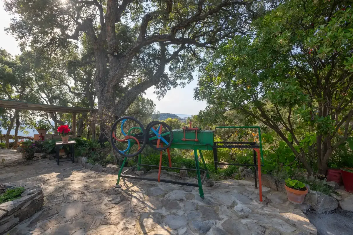 A shaded outdoor play area with colorful equipment beneath large trees.