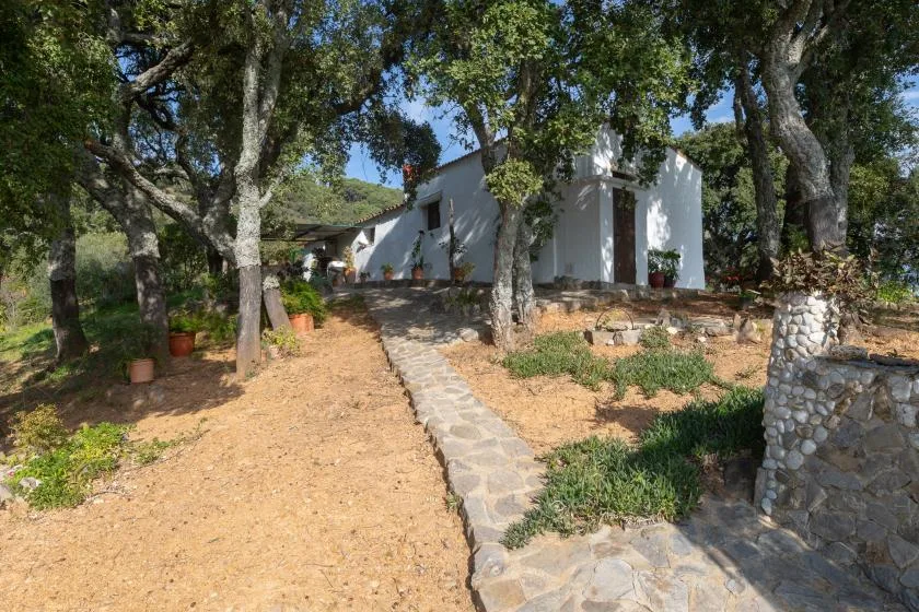 A white house stands among trees beside a stone path through the garden.