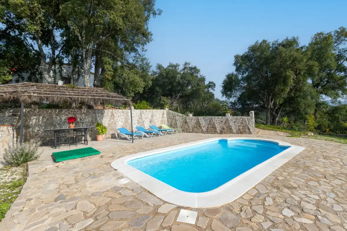 An outdoor swimming pool sits in a stone-paved area surrounded by trees.