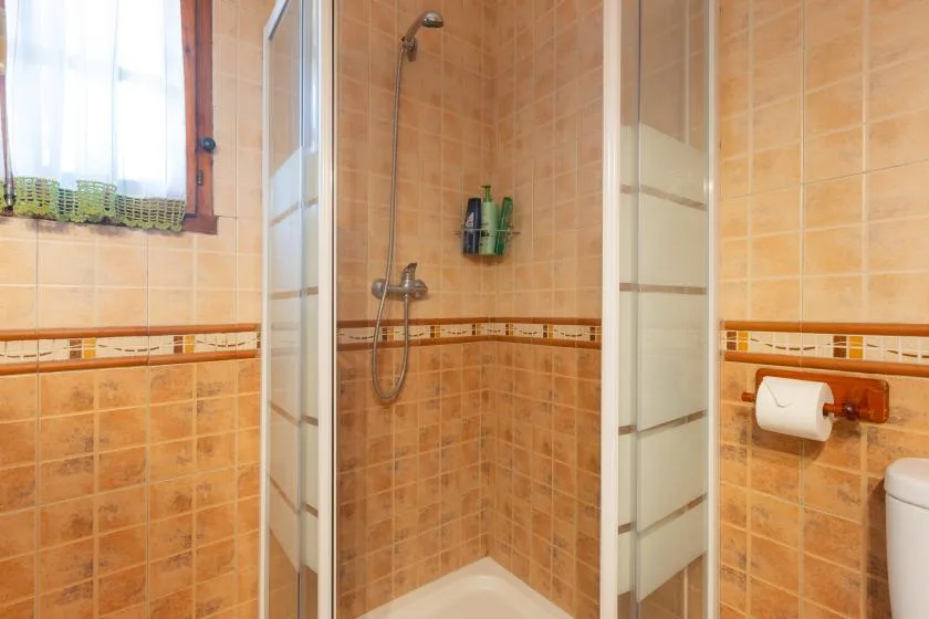 A tiled bathroom with a shower, a small window, and a wall-mounted toilet paper holder.