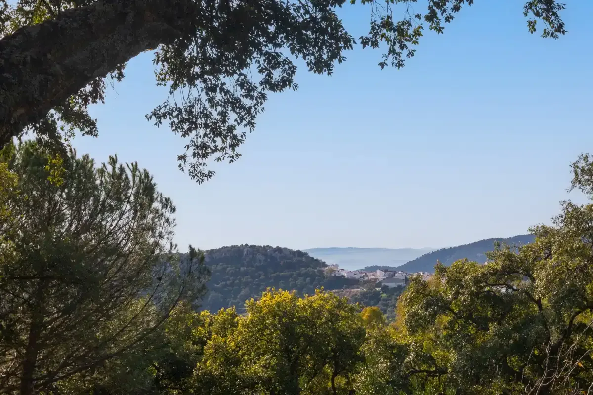 A distant town sits among green hills beneath a clear sky.