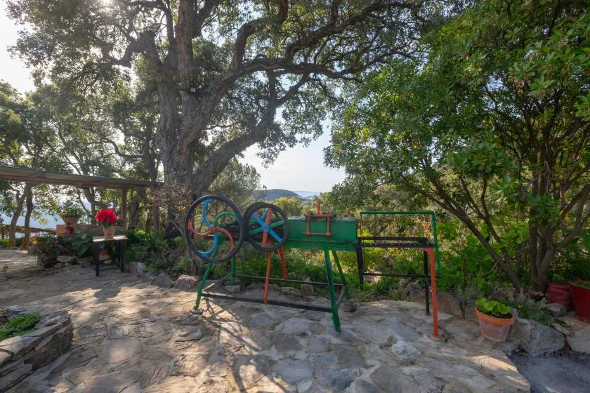 A shaded outdoor play area with colorful equipment beneath large trees.