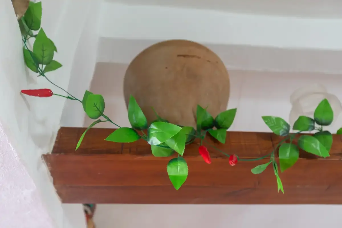 A decorative leafy vine drapes across a wooden shelf against a white wall.