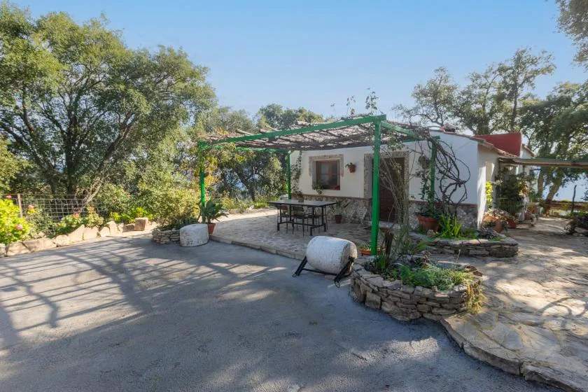 A paved outdoor patio has a pergola, table, and surrounding garden.