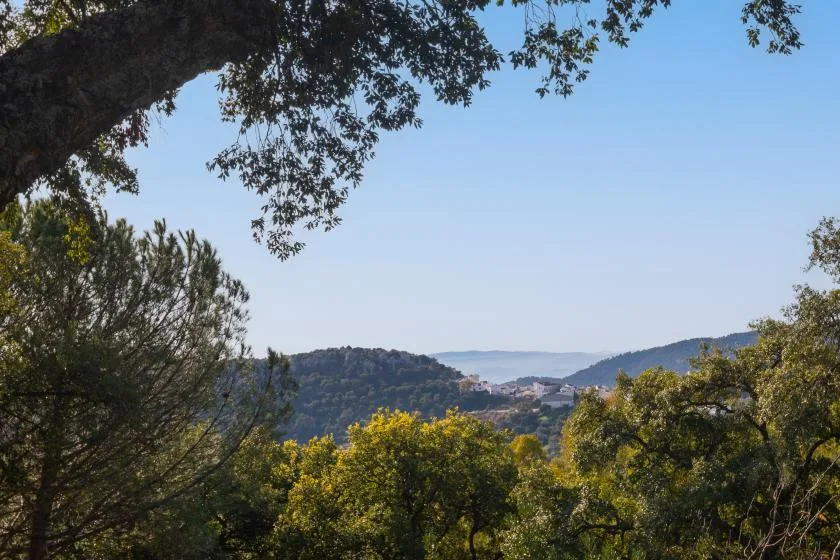 A distant coastal view appears between leafy trees beneath a clear sky.
