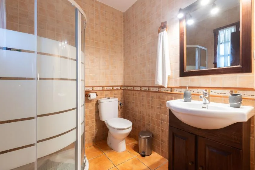 A tiled bathroom with a shower, toilet, and sink beneath a large mirror.