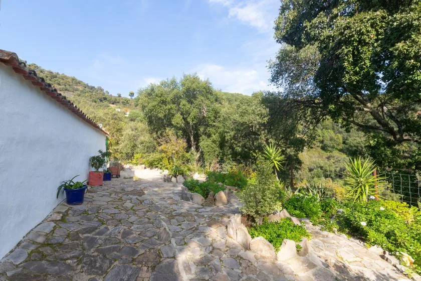 A stone-paved outdoor path runs beside a white building among green trees and plants.