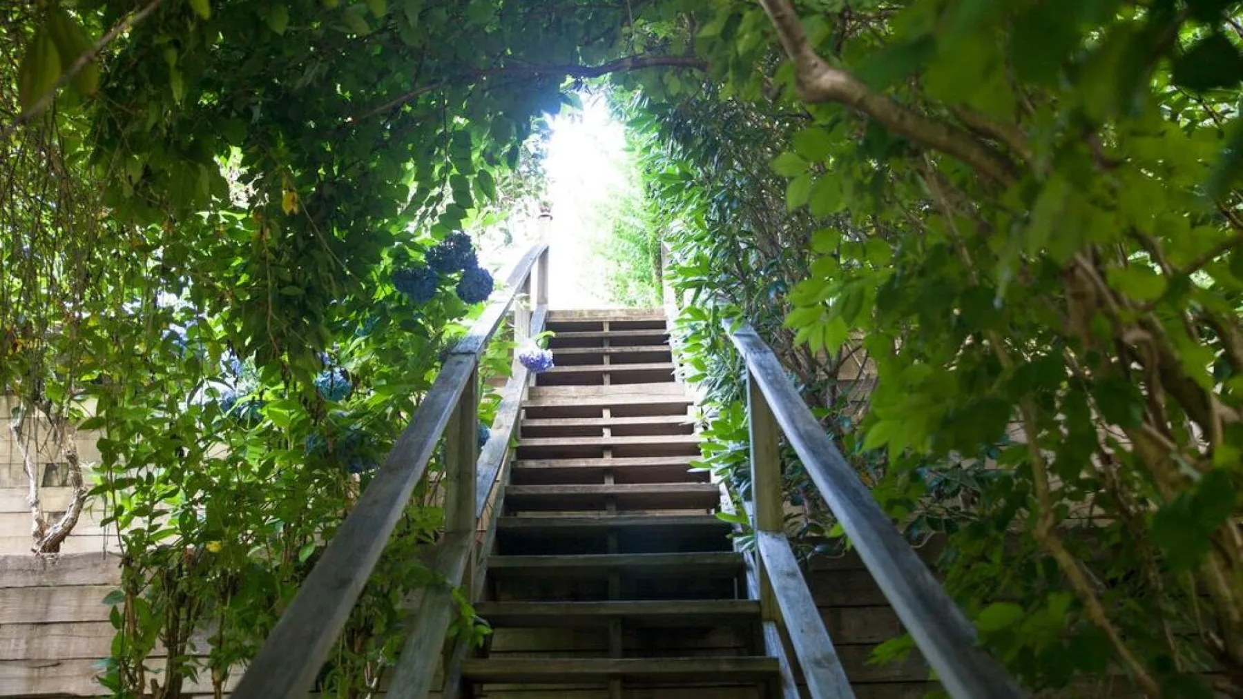 Una escalera exterior asciende entre vegetación frondosa hacia una abertura luminosa.