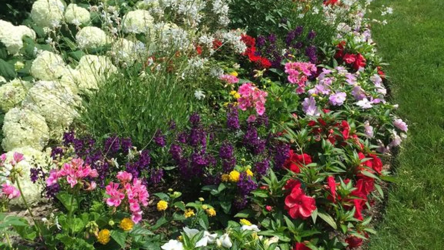 Un jardín de flores coloridas junto a un césped.