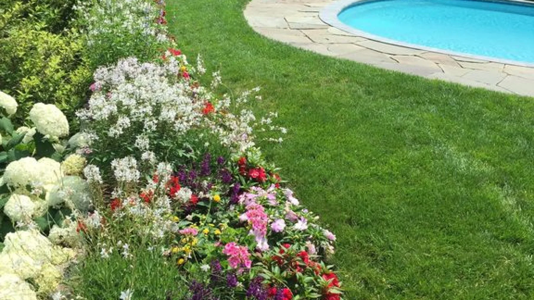 Un jardín de flores bordea un césped verde junto a una piscina.
