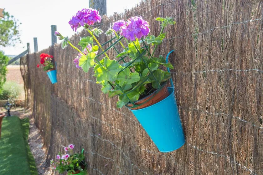 Purple flowers grow in colorful pots attached to a garden fence.