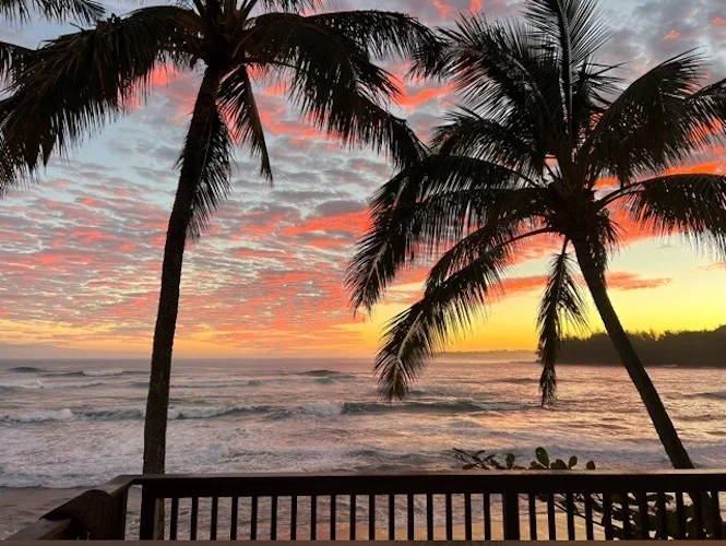 Una playa al atardecer, enmarcada por palmeras y una baranda de madera.
