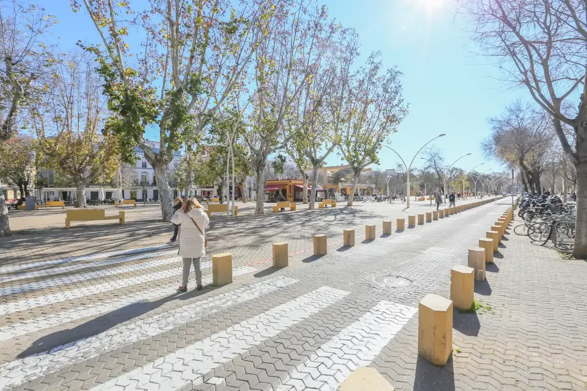 A tree-lined pedestrian promenade with patterned paving and benches.