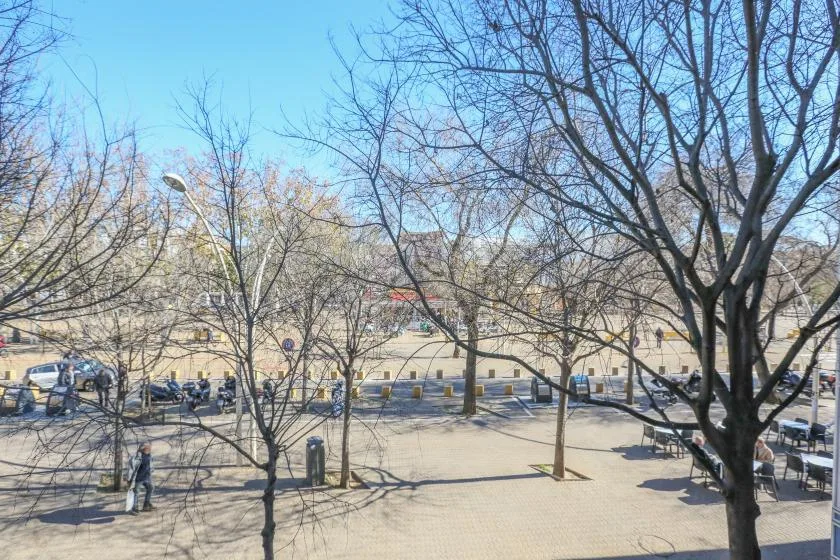 A paved outdoor plaza with leafless trees, benches, and people walking.