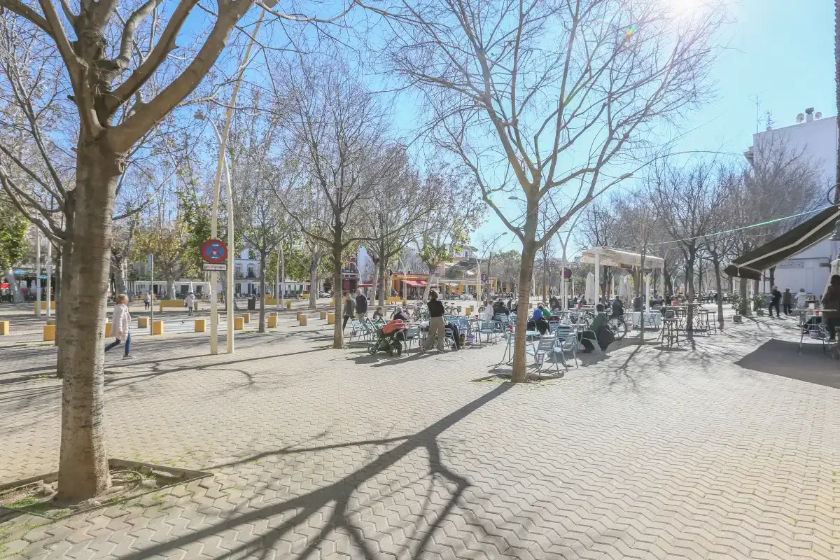 A paved public plaza with leafless trees and outdoor café seating.