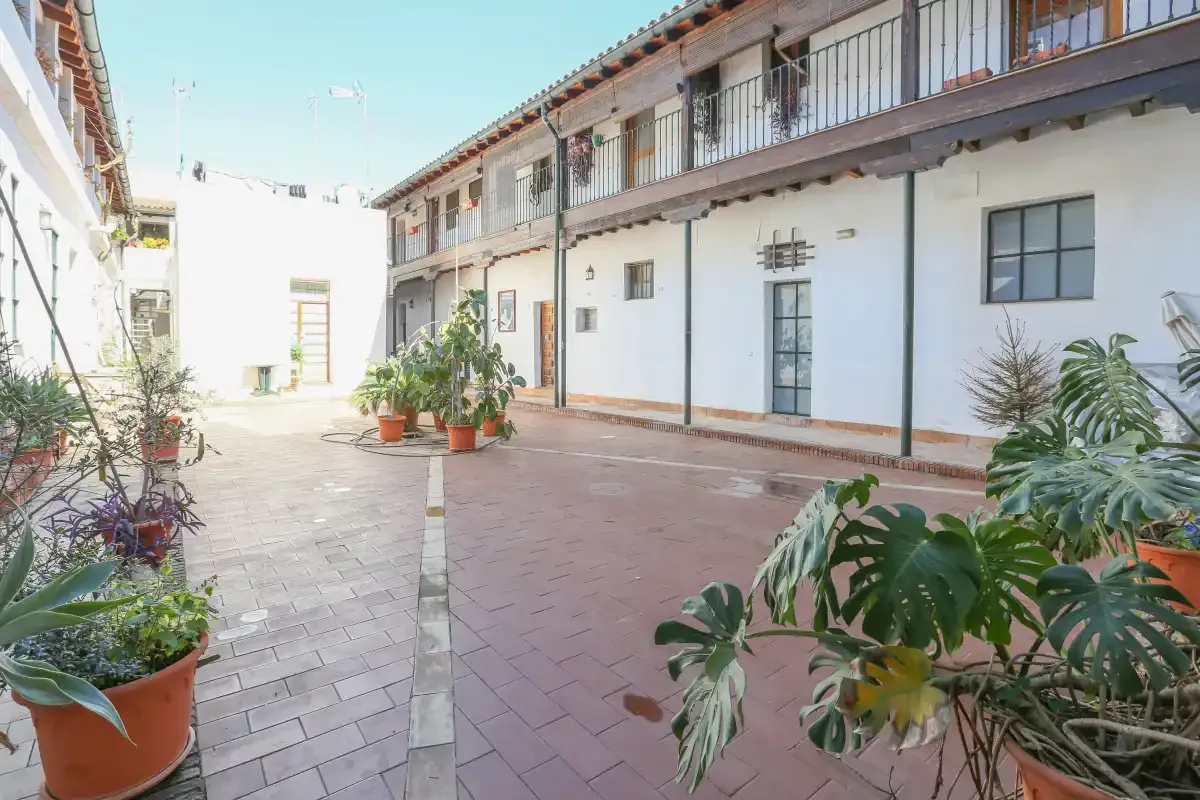 A courtyard with potted plants and a long building façade.