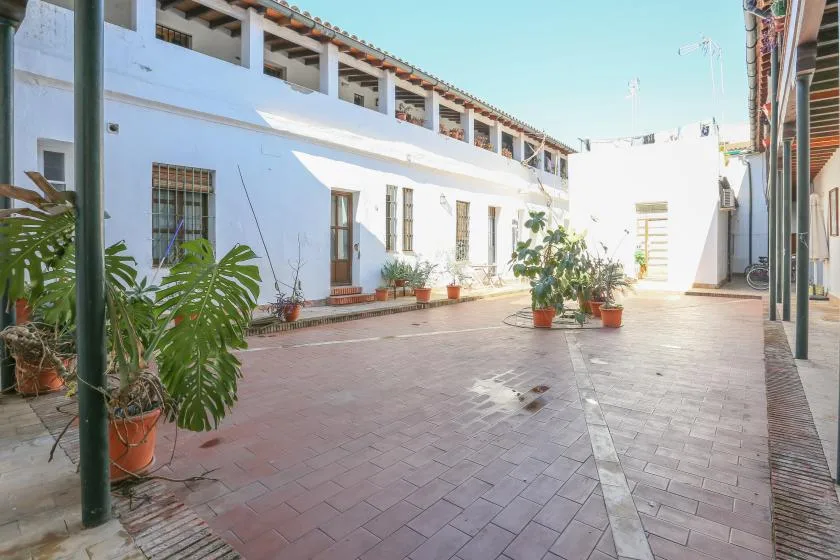 A sunlit courtyard with potted plants and white surrounding walls.