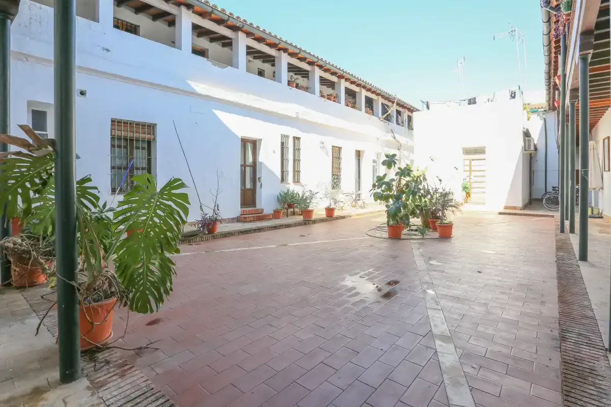 A sunny tiled courtyard with potted plants beside a white building.