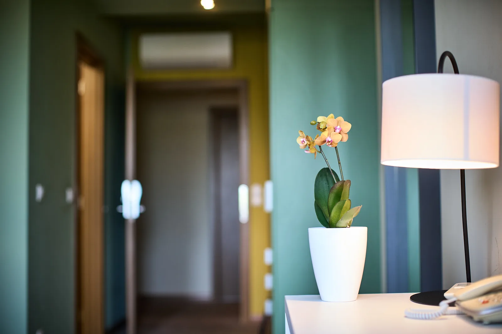 Hotel Bassiana property interior