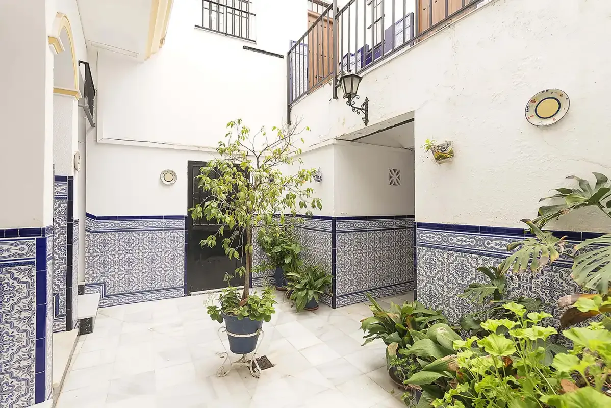 A tiled courtyard with white walls, a small tree, and potted plants.