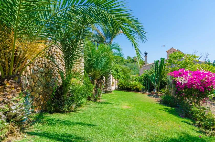 Un jardín con césped verde, palmeras y arbustos en flor.