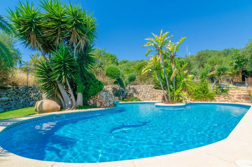 Una piscina al aire libre rodeada de vegetación y muros de piedra.