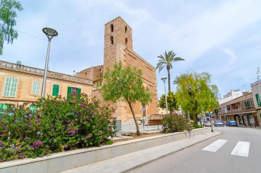 Una torre de iglesia de piedra se alza tras arbustos floridos junto a una calle.