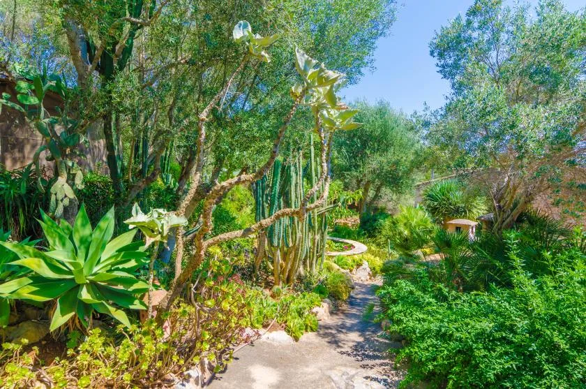 Un sendero de jardín serpentea entre abundante vegetación y árboles.