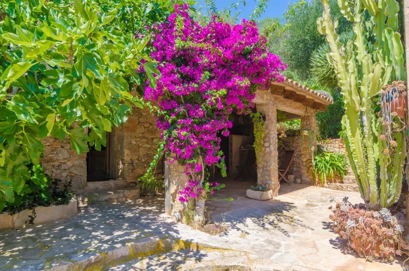 Un patio de piedra con una terraza sombreada bajo enredaderas con flores.