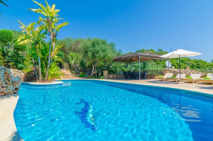 Una piscina exterior luminosa está junto a una zona de asientos a la sombra y vegetación.