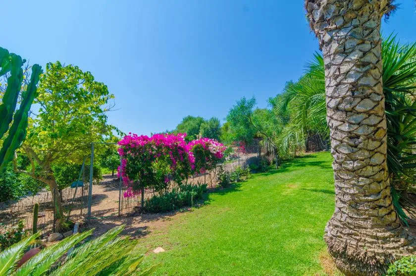Un jardín ajardinado con césped verde, arbustos floridos y palmeras.