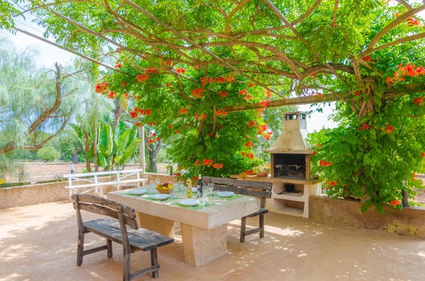 Una zona de comedor al aire libre bajo enredaderas frondosas, con una mesa y una parrilla.