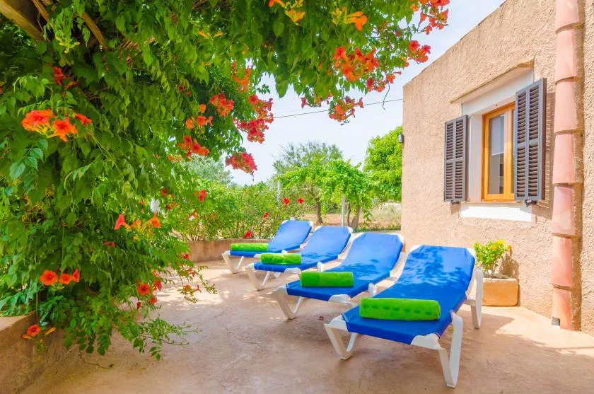 Un patio al aire libre con tumbonas azules bajo enredaderas con flores, junto a una casa.