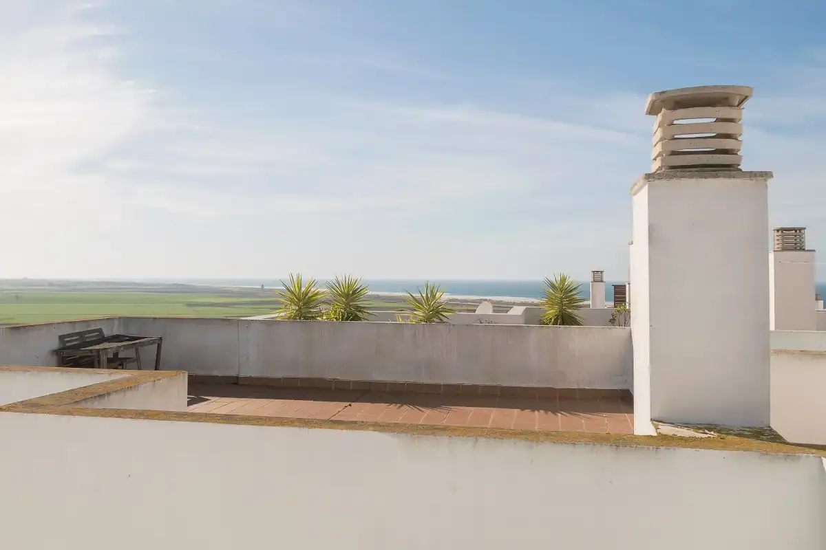 Una terraza en la azotea tiene vistas a palmeras y una franja de agua distante.