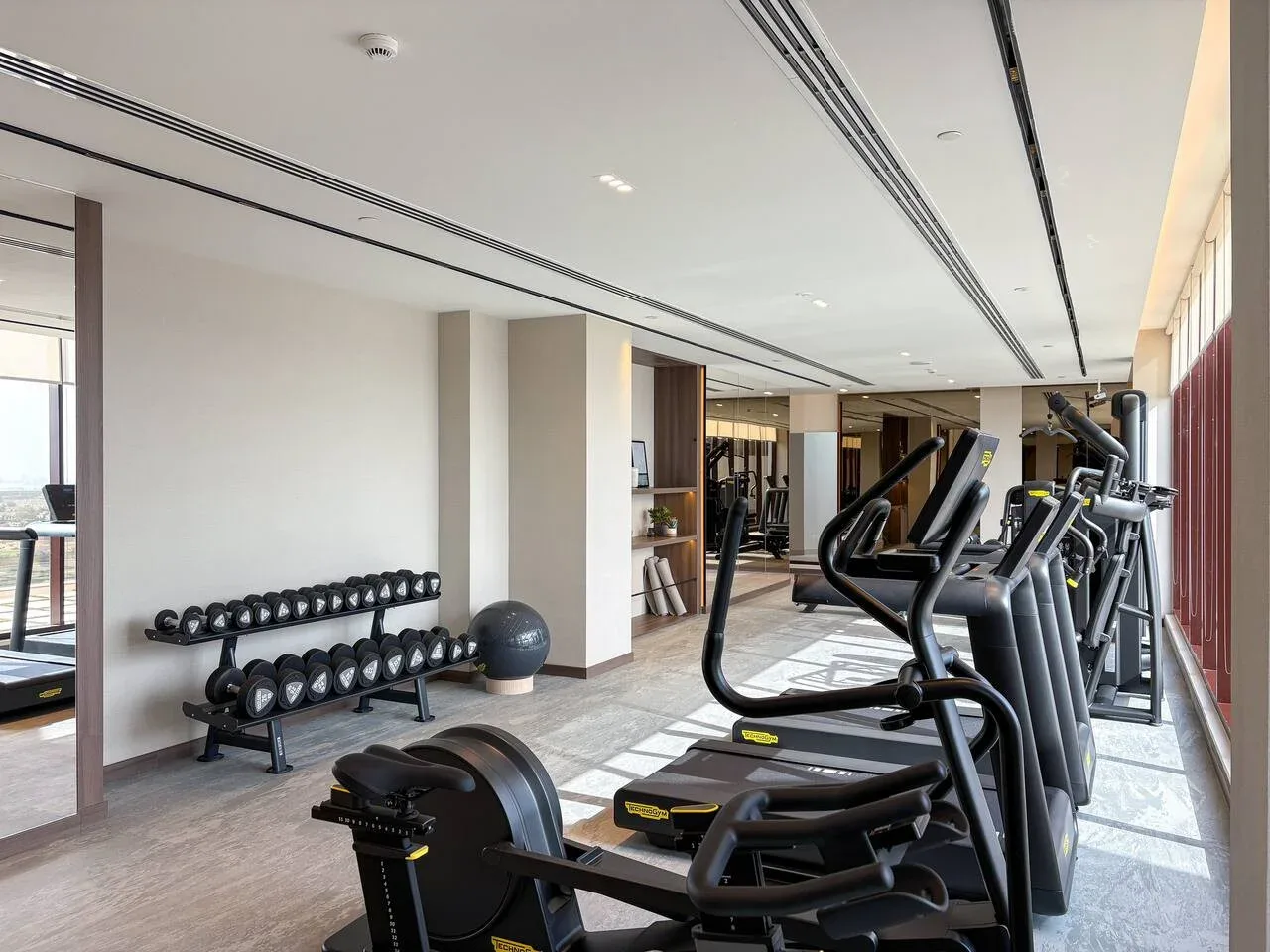 A bright fitness room with cardio machines and a rack of dumbbells.