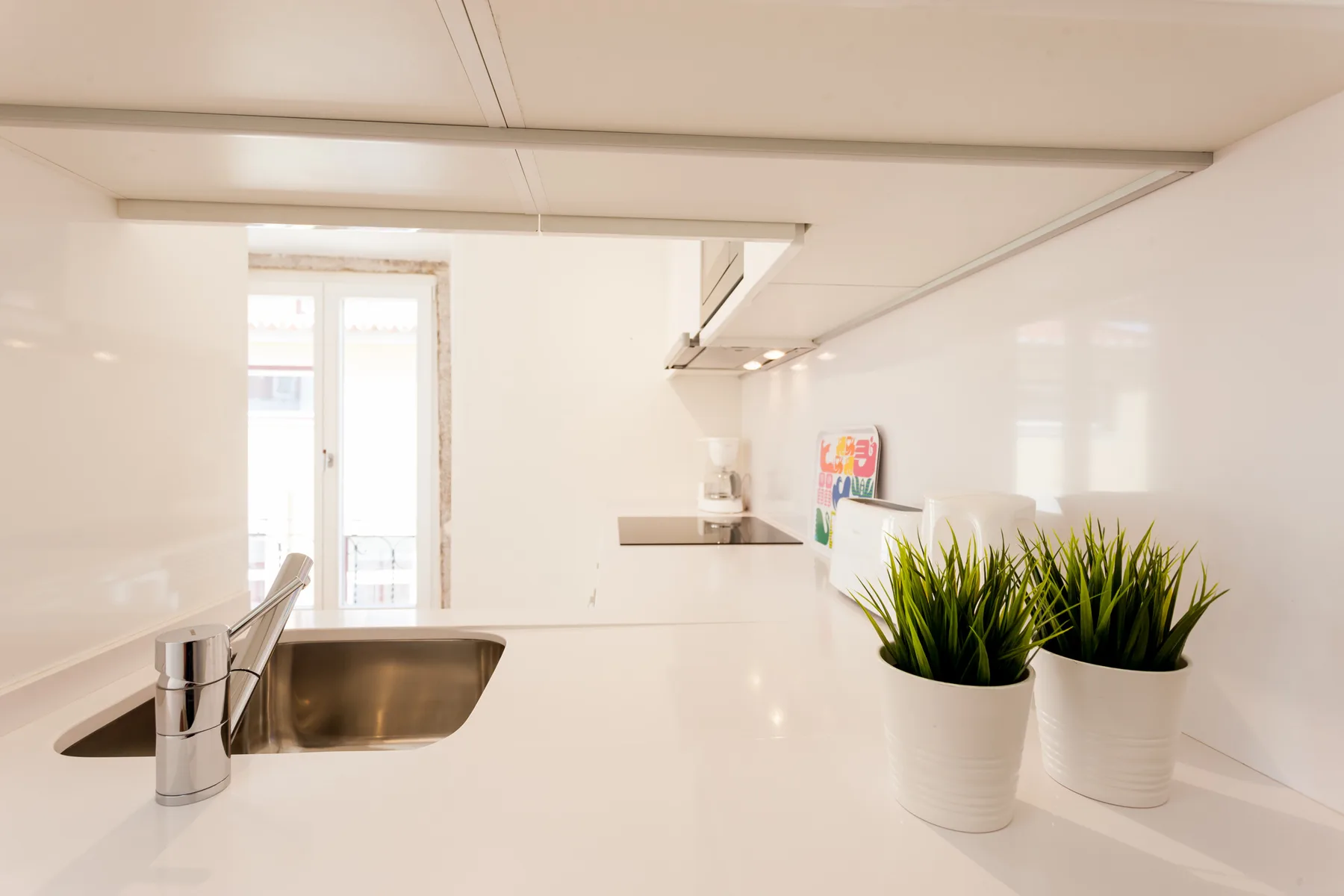 A bright kitchen with a sink, countertop, and potted plants.