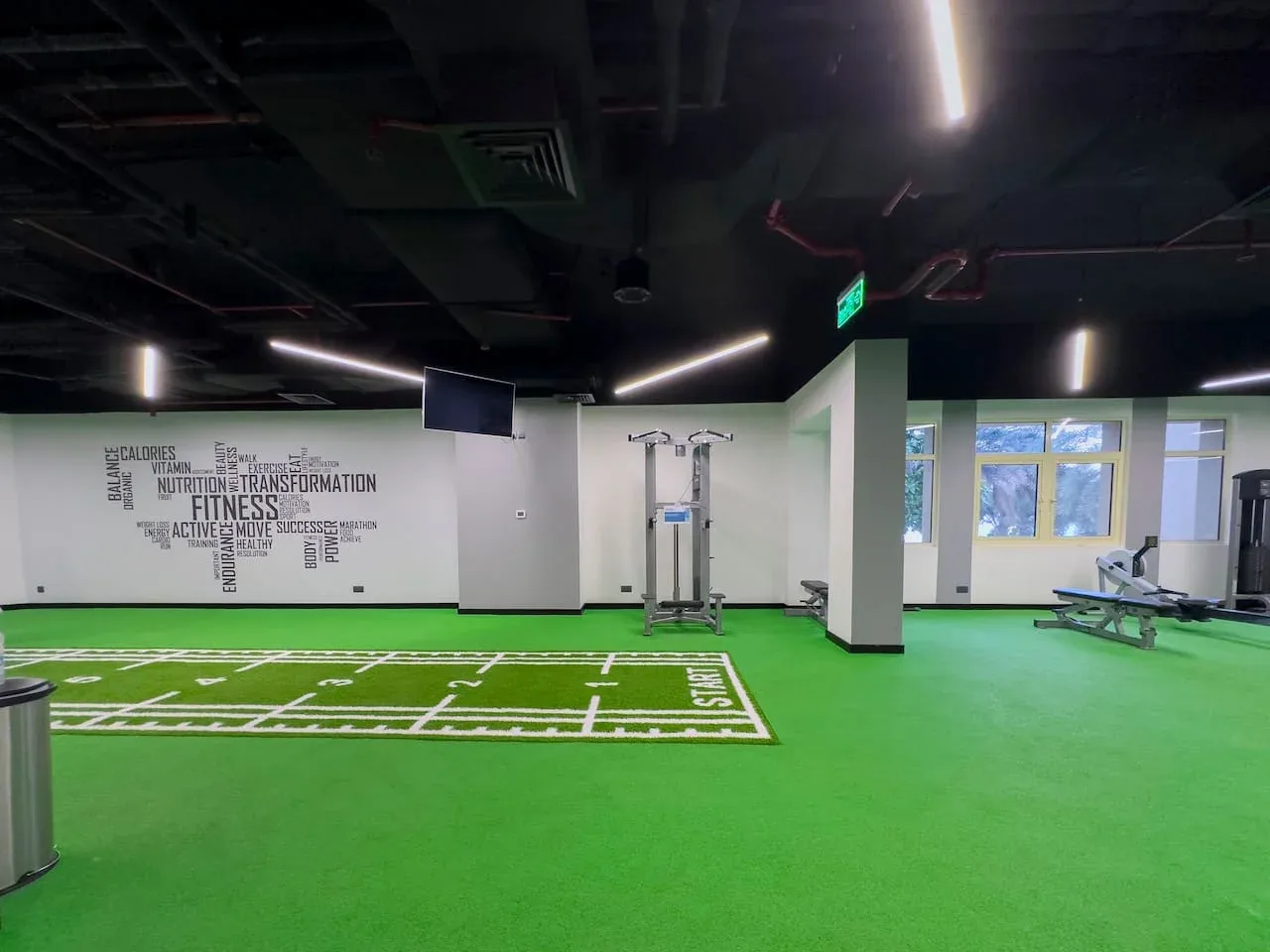 An indoor fitness area with green turf, exercise equipment, and windows.