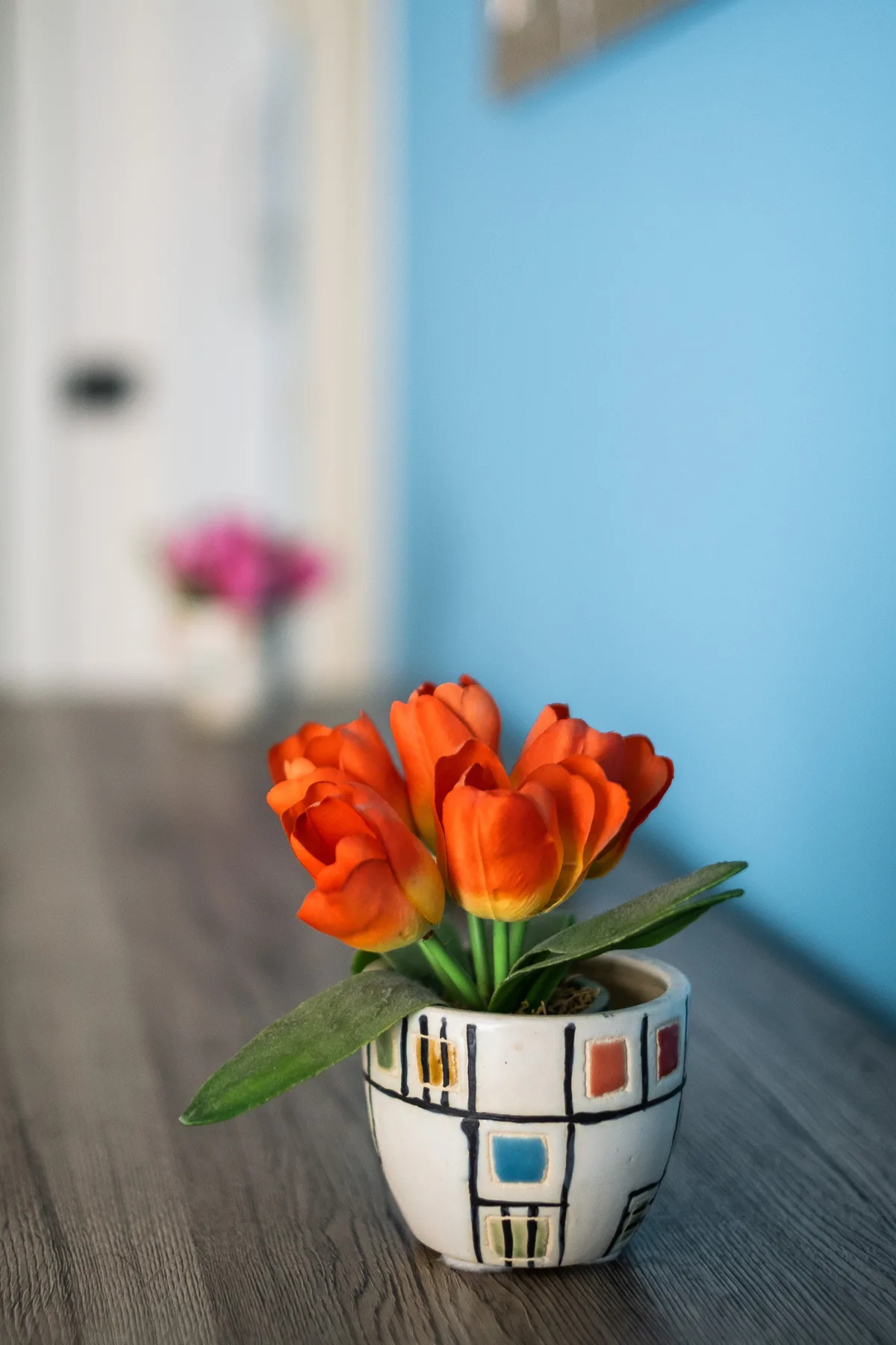Una pequeña planta en maceta con flores naranjas está sobre una mesa junto a una pared azul.