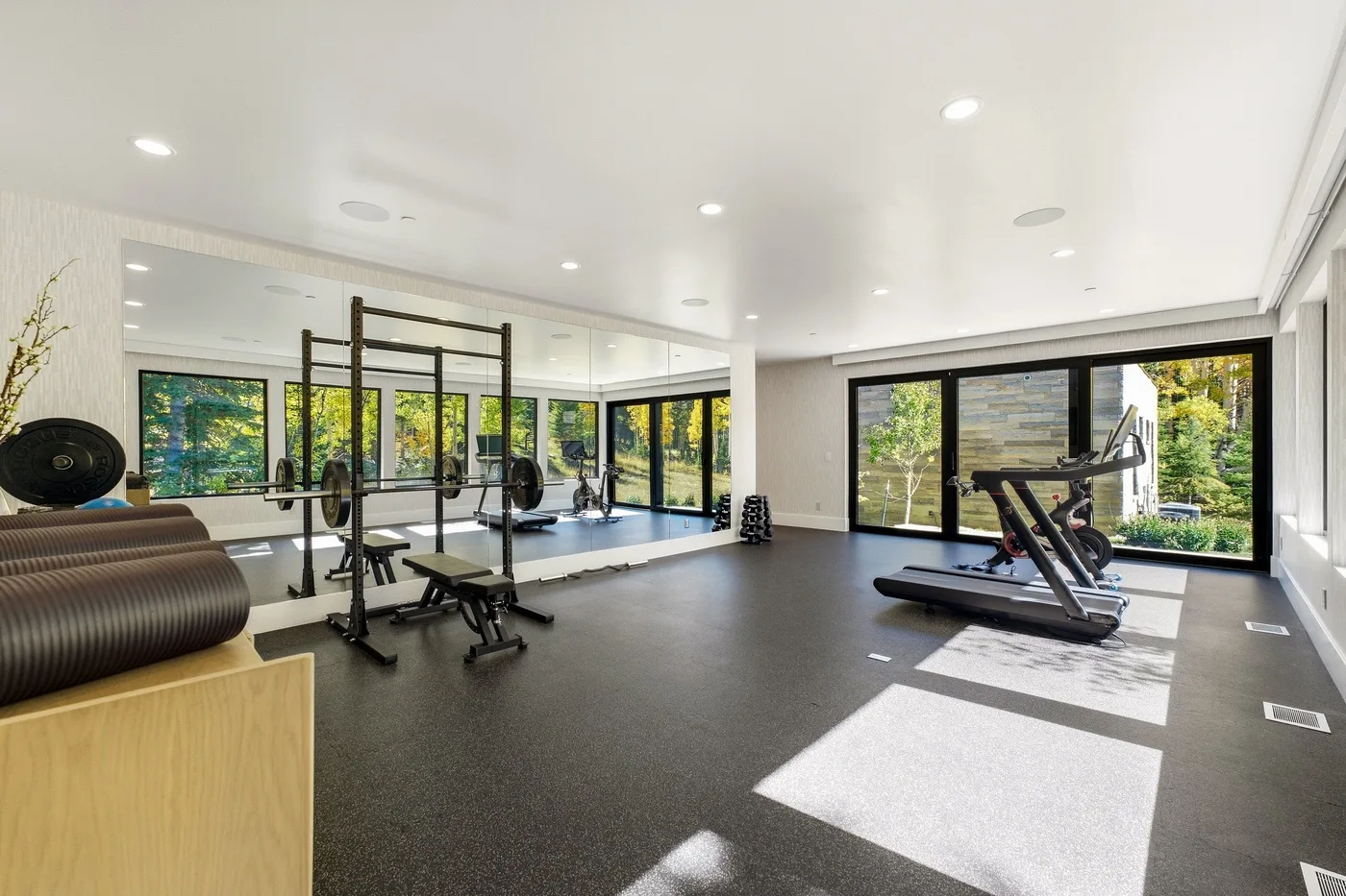 A bright gym with exercise machines and large windows overlooking greenery.