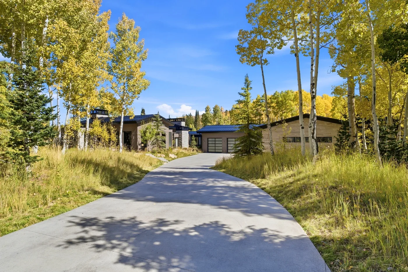 A paved driveway curves through grassy landscaping toward a modern house among trees.