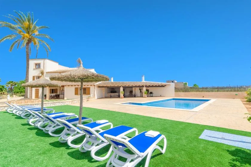 Outdoor pool area with blue loungers on the lawn beside a white building.