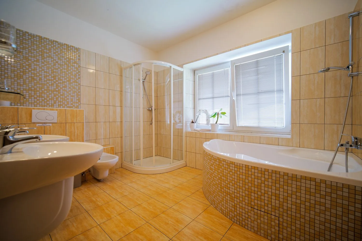 Baño con bañera de esquina y ducha