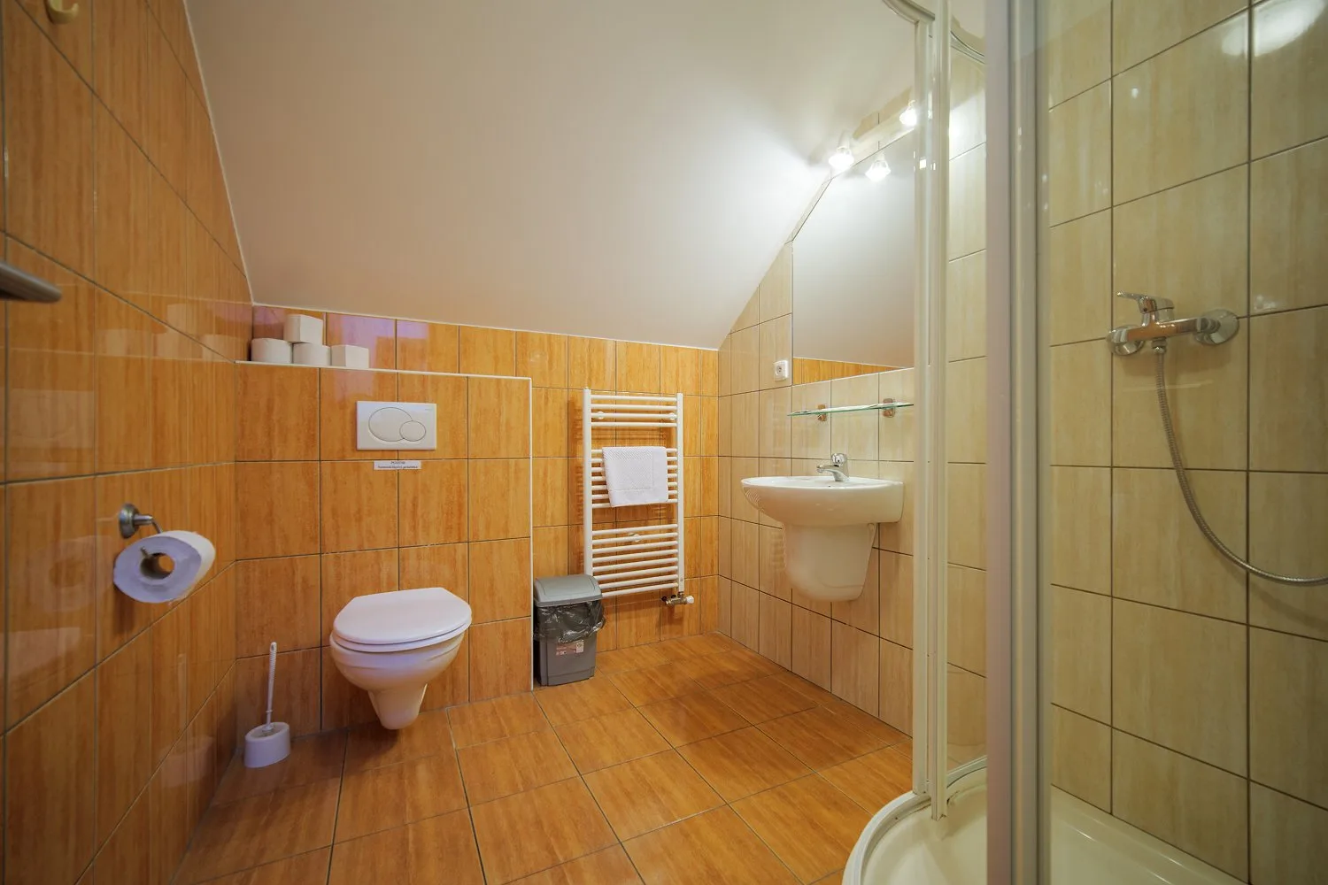 Baño con ducha en una habitación abuhardillada