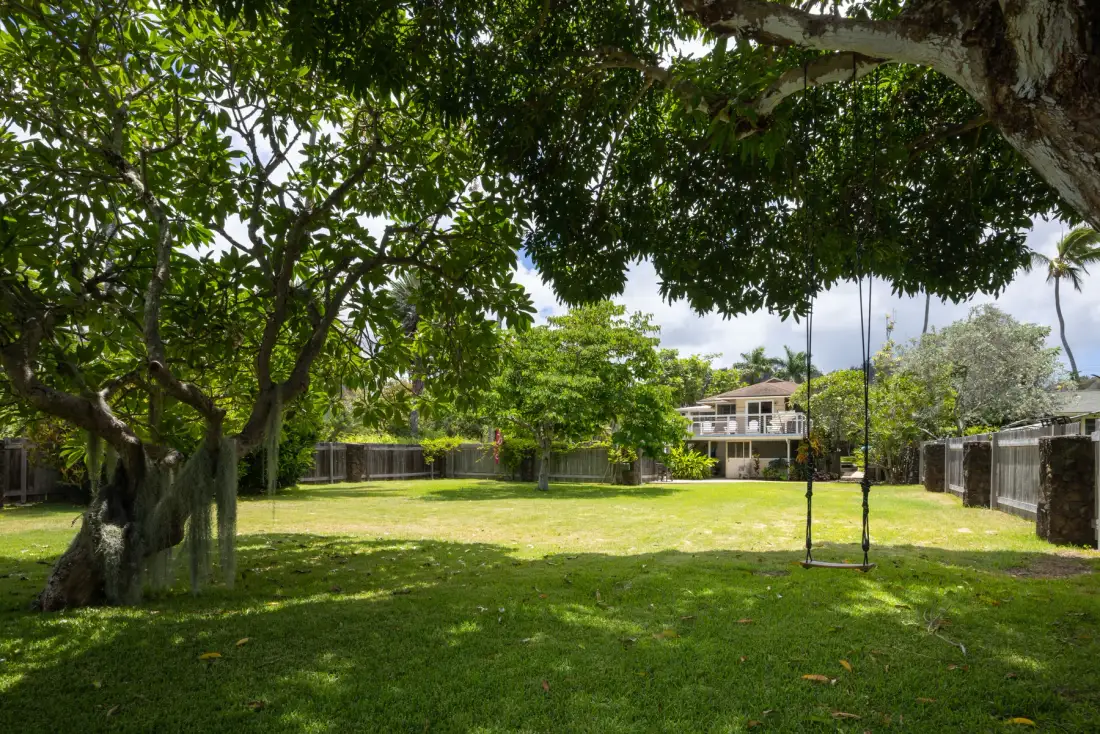 A grassy garden beneath a broad leafy tree, with a swing hanging from a branch.