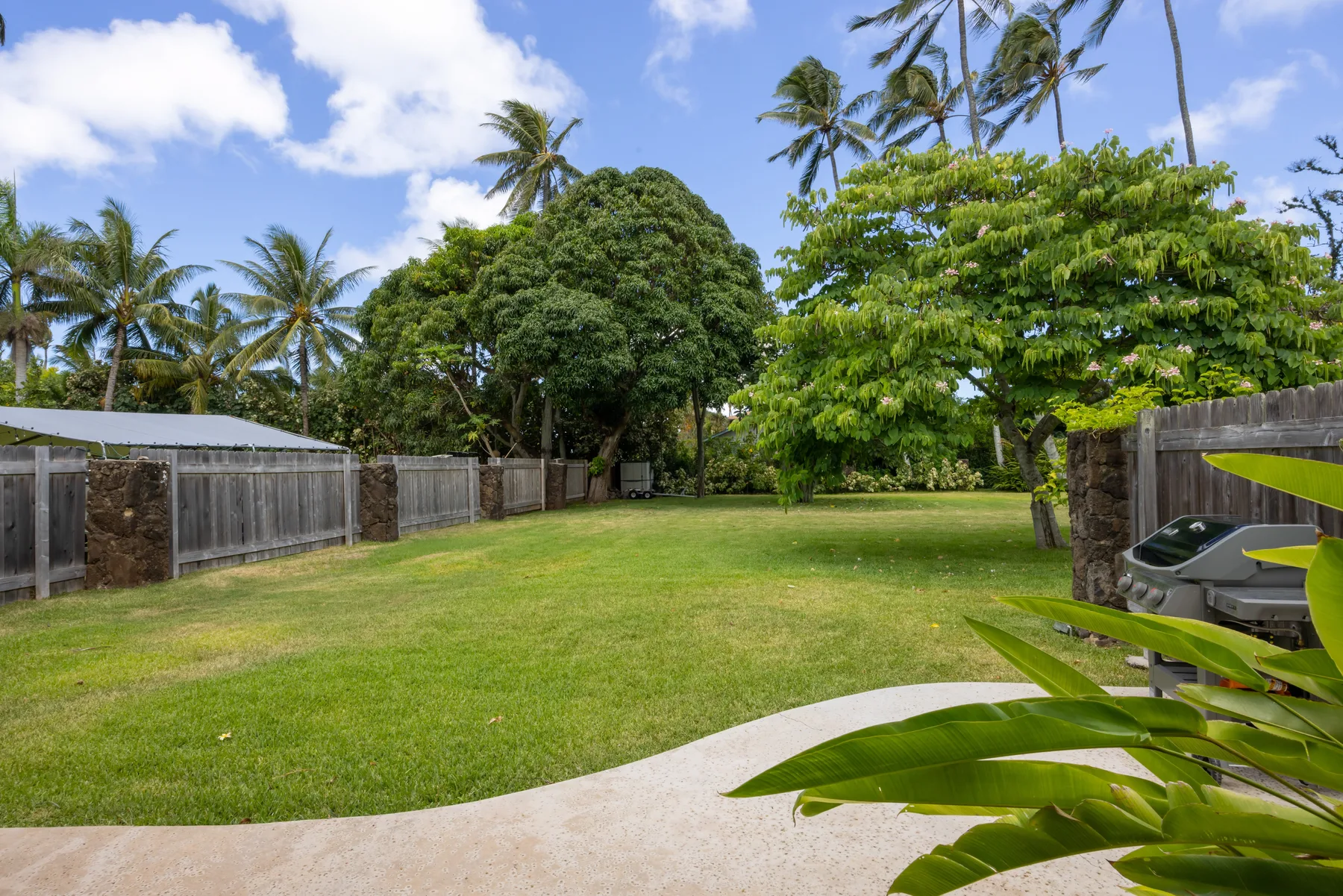 A grassy outdoor yard bordered by fences and tropical trees.