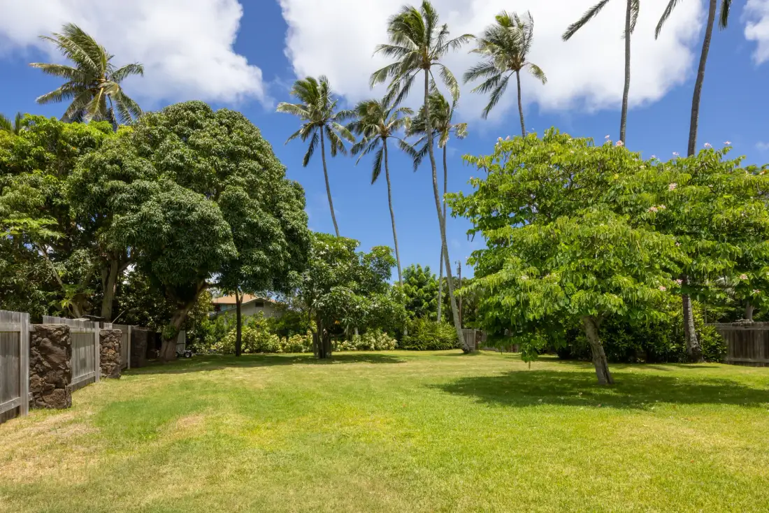 A grassy garden with leafy trees and tall palm trees beneath a blue sky.
