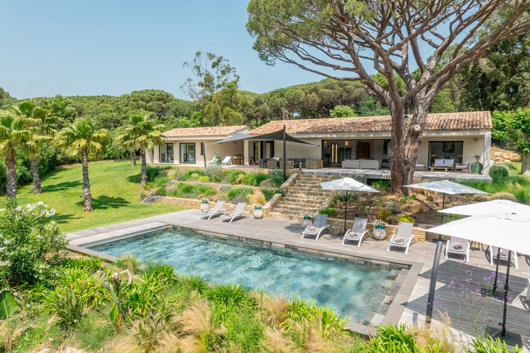 Un patio ajardinado de una villa da a una piscina, con tumbonas y árboles cerca.