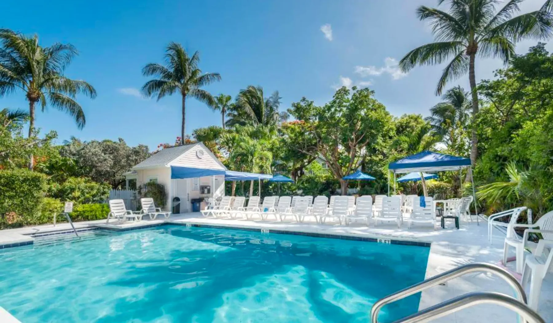 Una piscina al aire libre está rodeada de asientos blancos y vegetación tropical.