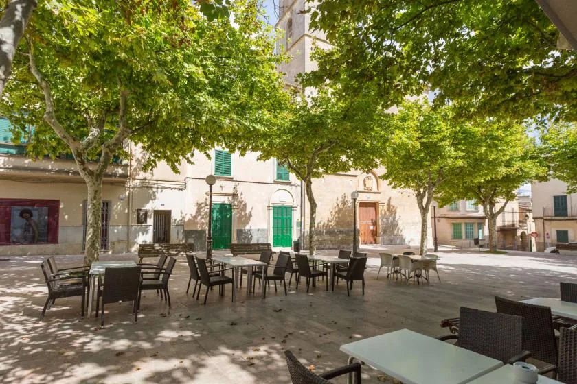 Una terraza al aire libre con mesas y asientos bajo árboles frondosos.