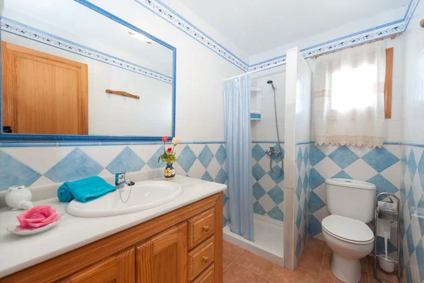 Un baño alicatado con lavabo, ducha e inodoro.